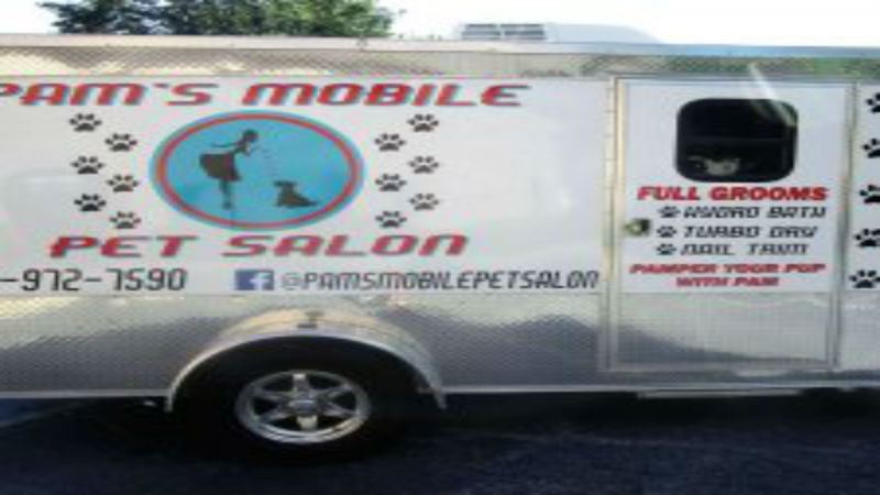 Using Vehicle Graphics to Promote Your Business in Peachtree City, GA