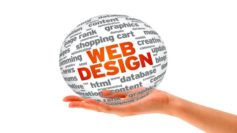 Trust the Best Web Design Company in Tampa, FL for Efficient Marketing